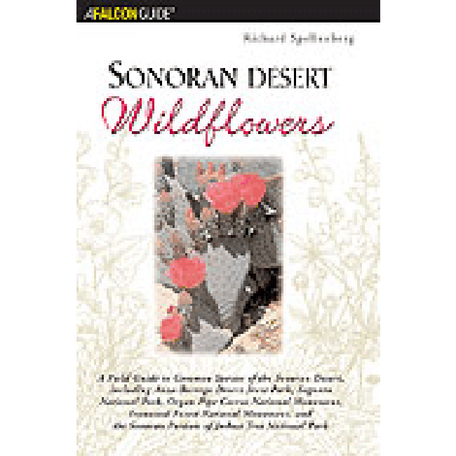 Sonoran Desert Wildflowers