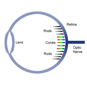 True Color Imaging