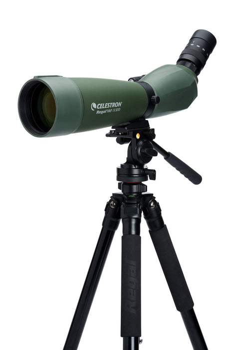 Celestron Regal M2 20-60X80mm ED Angled Zoom Spotting Scope